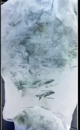 Beschermvlies2mbreedprijsperstrekkendemeter-Warentuinmix