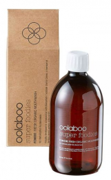 OolabooSuperFoodiesFreshOrganicMouthwash500ml