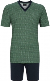 Katoenenherenshortamagroen