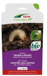 Aaltjestegenlarvenvandetaxuskever50m2DCMNatuurlijkeVijanden-Dcmnatuurlijkevijanden
