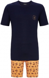 Nachtblauweherenshortamapalmbomen