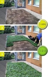 PlantenmatvasteplantenVetkruidSedumprijsper1m2cmCovergreen-Covergreen