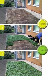 PlantenmatvasteplantenVetkruidSedumprijsper1m2cmCovergreen-Covergreen