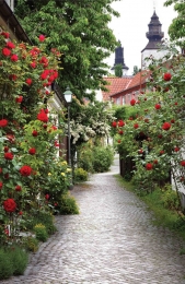 AlleyRoses90x140cmTuindoek-Customizeit