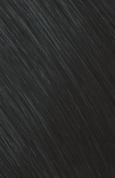 GoldwellTopchicHairColorBus2A250ml