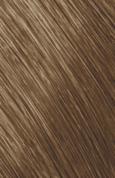 GoldwellTopchicHairColorBus8A250ml