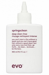 EvoSpringscleanDeepCleaningRinse300ml