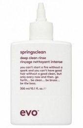 EvoSpringscleanDeepCleaningRinse300ml