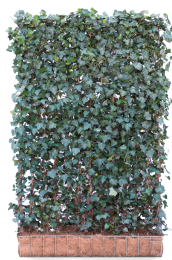 KantklaarhaagmethardhoutbakgrootHederahelixWoerner180cm-Mobilane