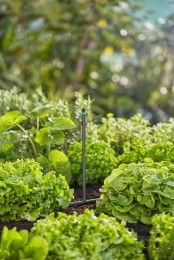 MDSVerlengbuisvoorsproeiers-Gardena