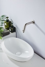SaniclearExclusiveinbouwtoiletkraanRVS