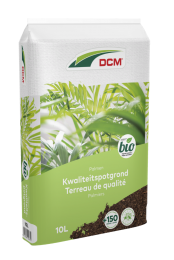 Potgrondpalmen10l-Dcm