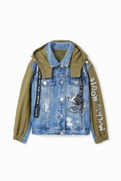 ParkajackMickeyMouse