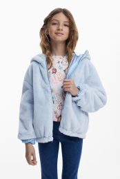 Omkeerbaregewatteerdejas