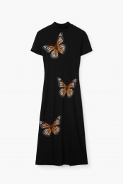 Slimmidi-jurkmetvlinders