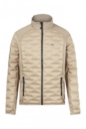 PictureHorsesTussenjasherenS