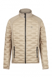 PictureHorsesTussenjasherenS