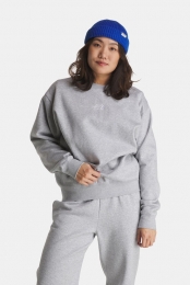 TheNorthFaceEssentialCrewTruiDamesGrijs