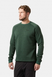 HellyHansenVardeCrewneckTruiGroen