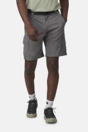 ColumbiaSilverRidgeUtilityCargoShort10Grijs