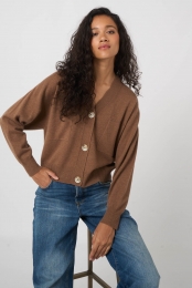 Seamlessv-halsvestvanorganischkasjmier