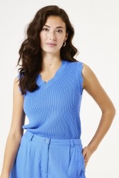 Blauwesinglet