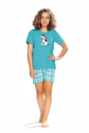 Blauwemeisjesshortamahond