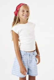 Denimshorts-LightUsed