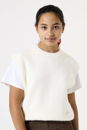 Gebrokenwittespencer