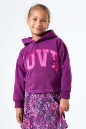 Paarsehoodie