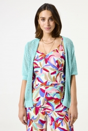 Turquoisevest