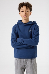 Blauwehoodie