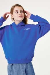 Blauwehoodie