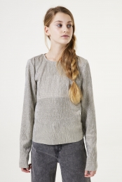 Zilverenlongsleeve