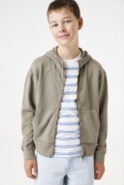 Taupevest