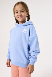 Blauwehoodie