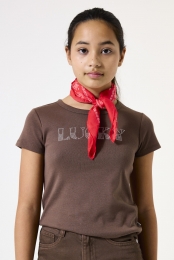 BruinT-shirt