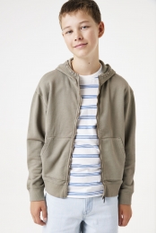 Taupevest