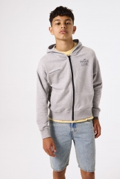 Grijsvest