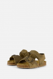 Develabsandalengroen