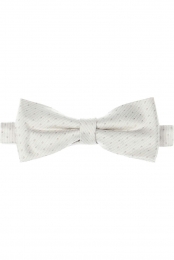 FrancoBaresiVlinderdaszilverStippen