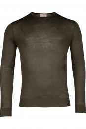 ThomasMaineTruidonkergroenEffen