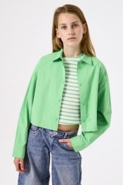 Groeneblouse