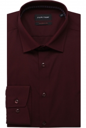 JupiterOverhemdbesEffen