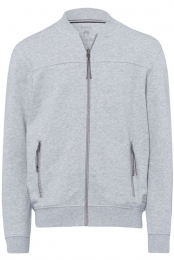 BraxJaslichtgrijsEffen