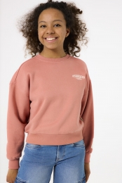 Rozesweater