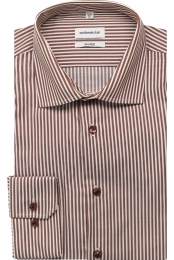 SeidenstickerOverhemdGestreept