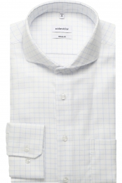 SeidenstickerOverhemdwitRuit