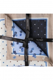 OLYMPPochetblauwbruinwitGestippeldengestreept