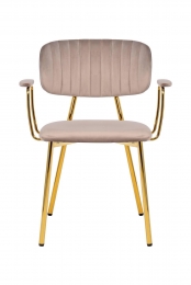 Setvan2eetkamerstoelenGisellevelvetUnderbar